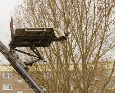 Möbellift in Castrop-Rauxel Möbellift in Castrop-Rauxel: Möbellift zwischen kahlen Bäumen vor einem Gebäude