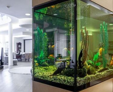 Aquarium-Umzug Castrop-Rauxel Aquarium-Umzug Castrop-Rauxel: Großes Aquarium in einem modernen Wohnzimmer