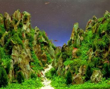 Aquarium-Umzug Castrop-Rauxel Aquarium-Umzug Castrop-Rauxel: Aquarium mit Felslandschaft und Pflanzen