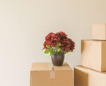 Karton im leeren Raum Umzugskarton und Blumenvase in einem leeren Raum